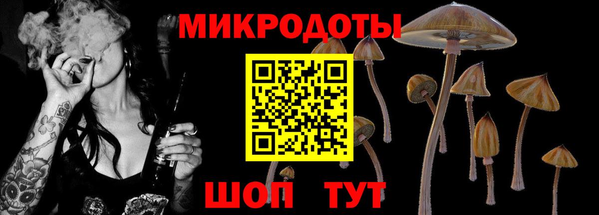 даркнет сайт  Галлюциногенные грибы GOLDEN TEACHER  Вход с VPN  Ивантеевка 
